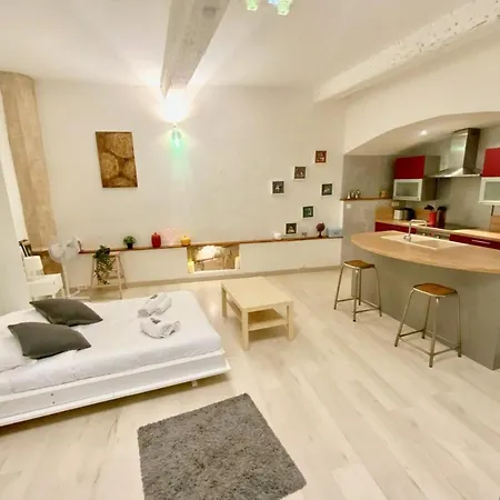 Le Montpellierain - Dans L'ecusson ! Apartment Montpellier